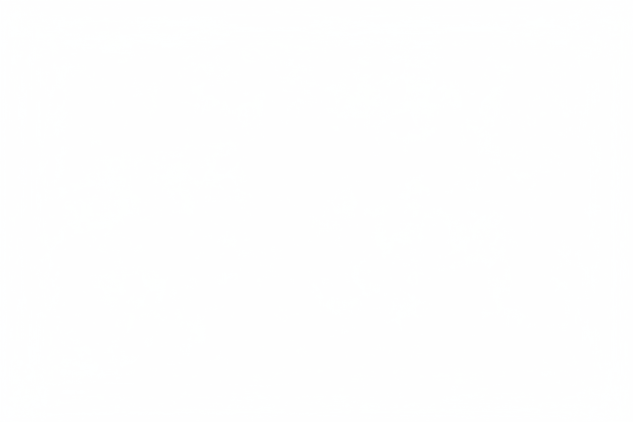 rectángulo totalmente blanco sin nada de texto o figuras